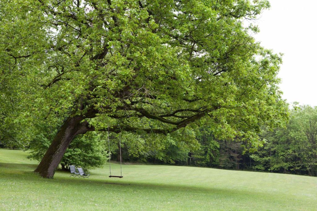 lieu de séminaire avec jardin