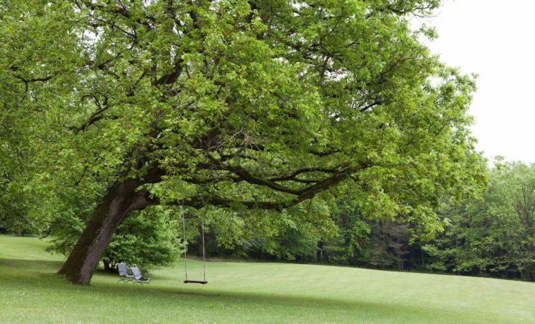 lieu de séminaire avec jardin