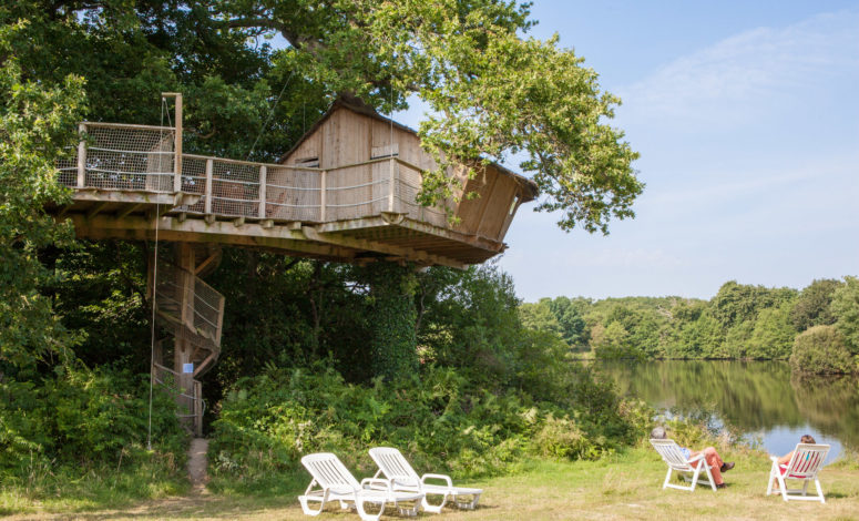 séminaire au vert, cabane dans les arbres