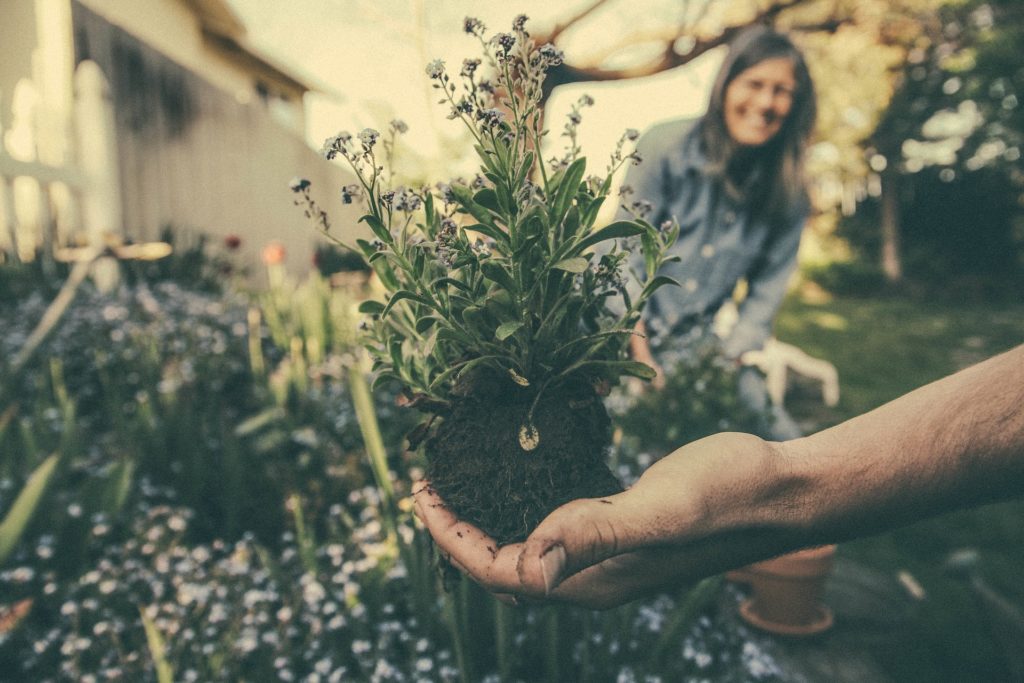 atelier jardinage entreprise