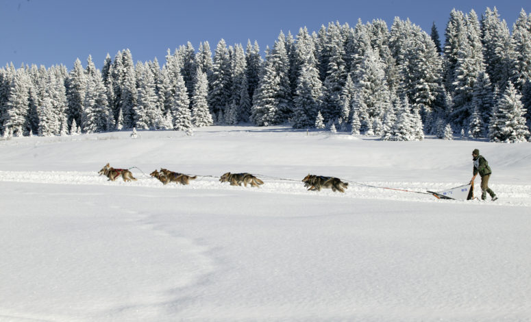 Un séminaire à la montagne