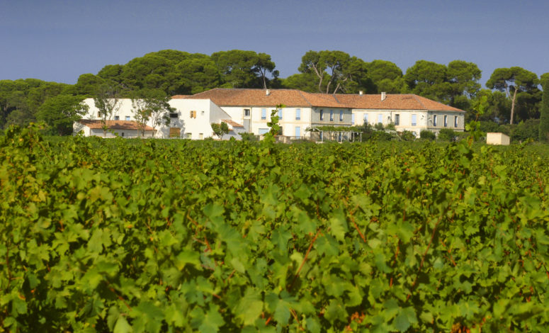 Séminaire au vert domaine viticole en Occitanie