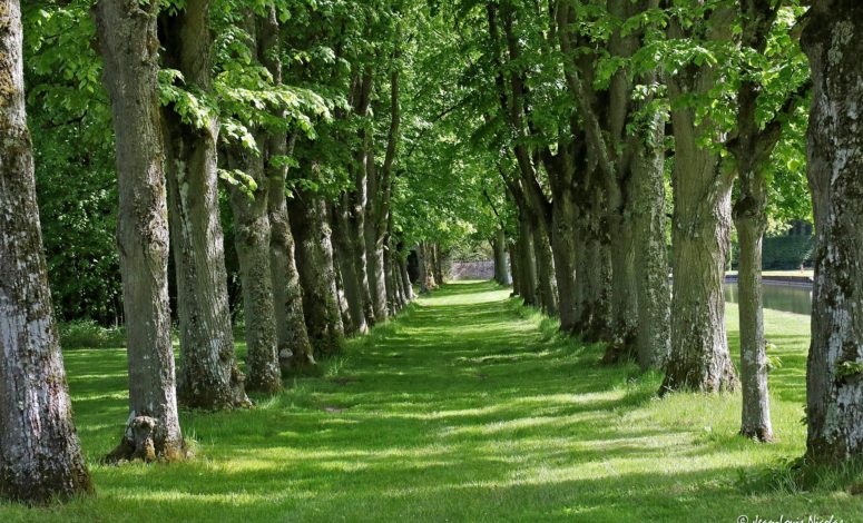Un séminaire au vert dans un château