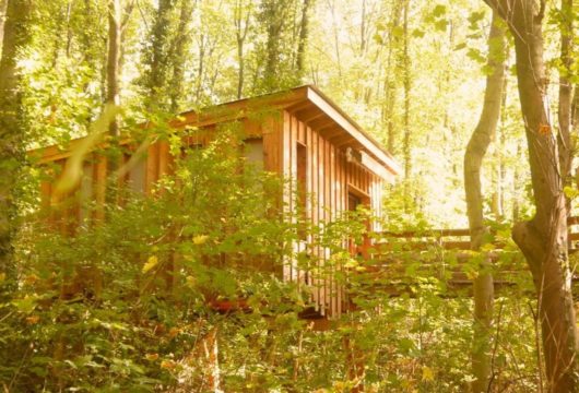 Un séminaire dans les arbres