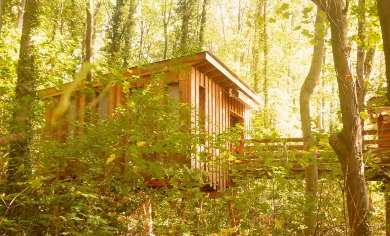 Un séminaire dans les arbres