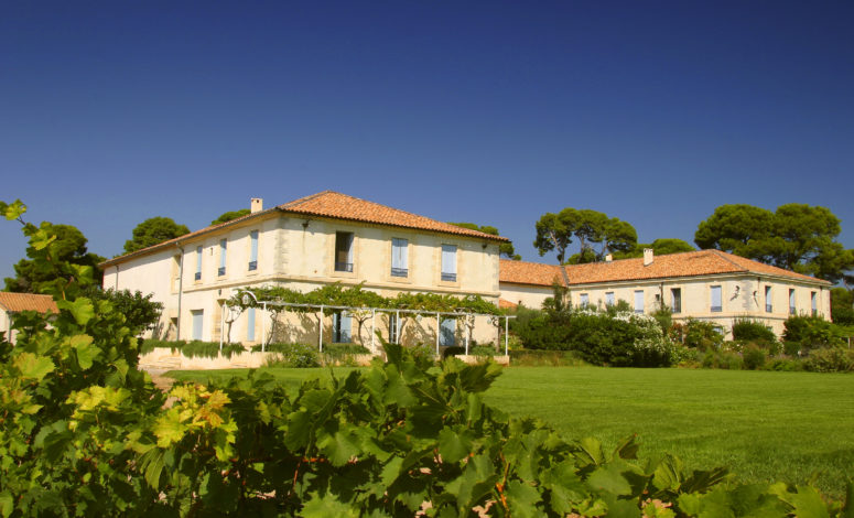Séminaire au vert domaine viticole en Occitanie