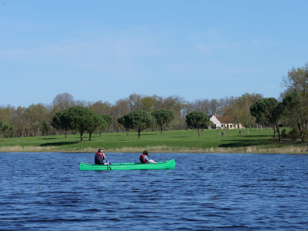 teambuilding canoe kayak