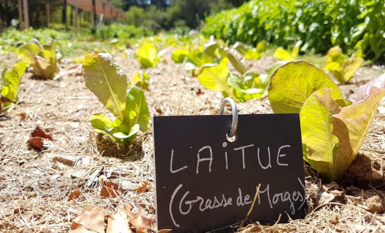 Un séminaire dans le Lubéron