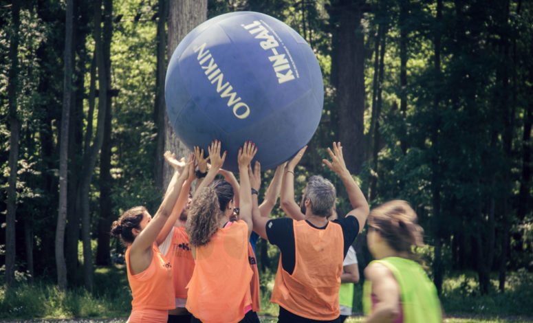 Team building collaboratif Rock and Bleau