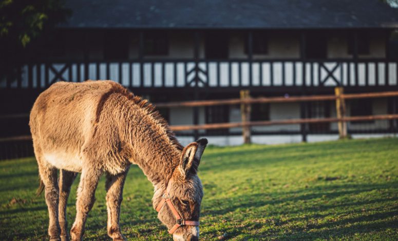 Un séminaire au vert en Normandie