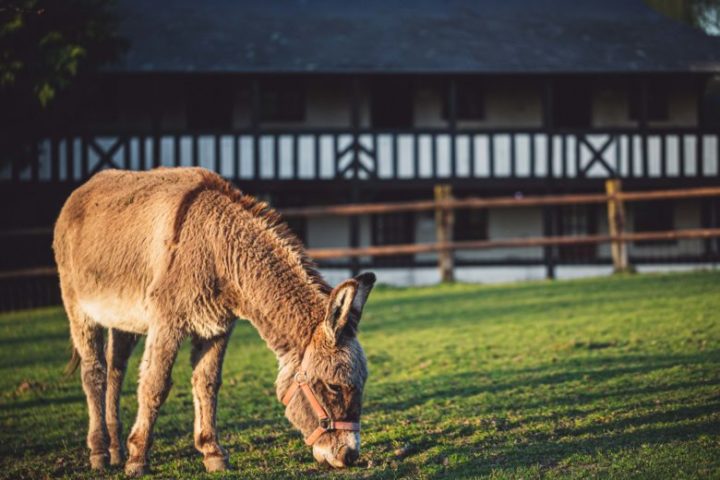 Un séminaire au vert en Normandie