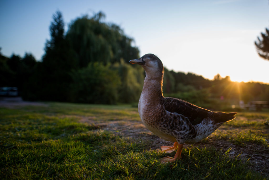 Un séminaire au vert en Normandie