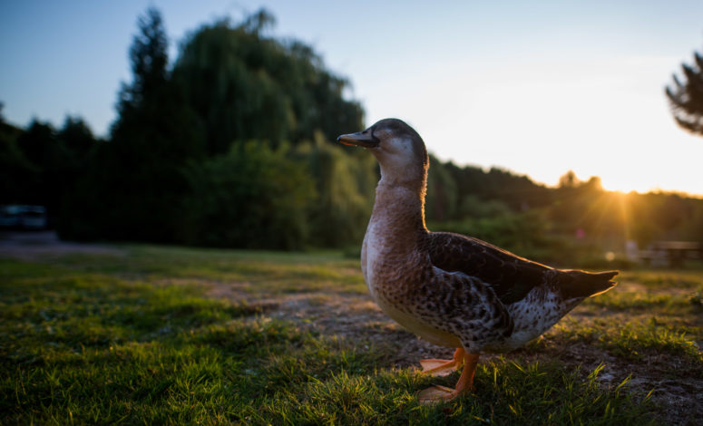 Un séminaire au vert en Normandie