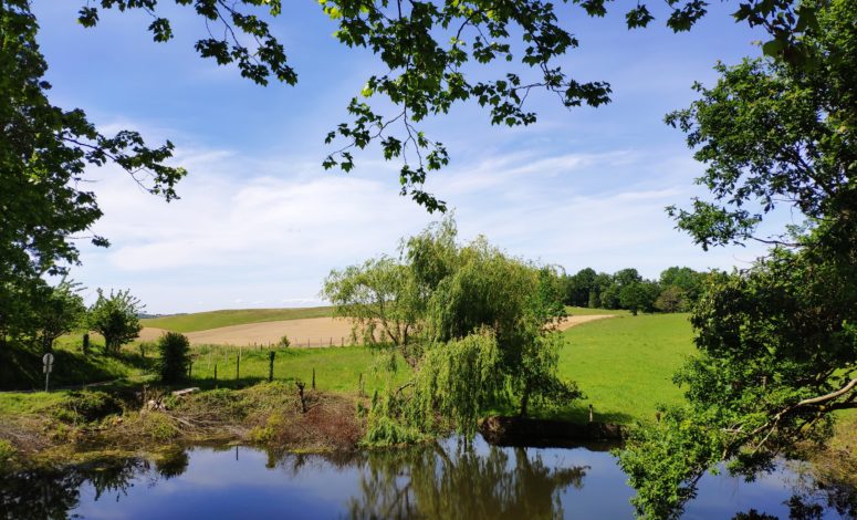 Un domaine en Béarn pour votre prochain séminaire au vert