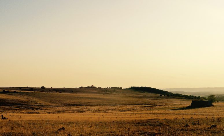 aveyron aubrac