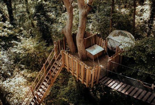 Domaine insolite à Fontainebleau