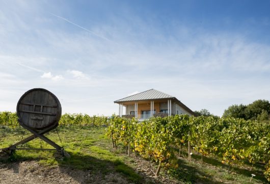 Le Vignoble Marchais