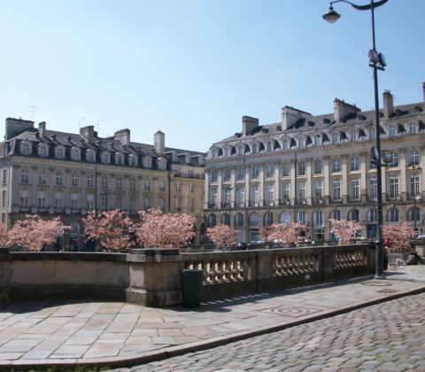 Séminaire original et atypique à Rennes- Seminaire Collection