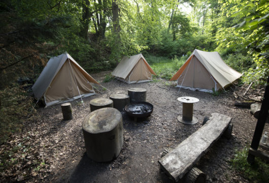 Bivouac insolite au coeur de la forêt