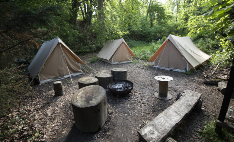 séminaire collection - séminaire insolite dans un bivouac au cœur de la forêt