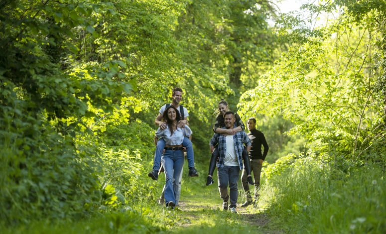 séminaire collection - séminaire insolite dans un bivouac au cœur de la forêt