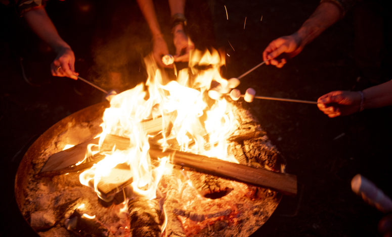 séminaire collection - séminaire insolite dans un bivouac au cœur de la forêt