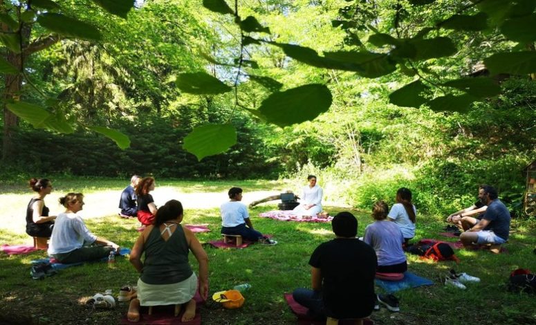 séminaire collection - séminaire insolite dans un bivouac au cœur de la forêt