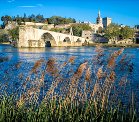 Séminaire original et atypique à Avignon - Seminaire Collection