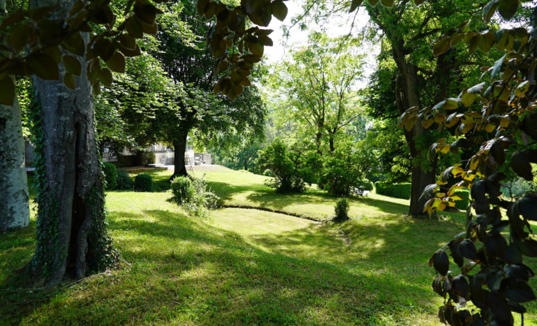 Seminaire beaujolais en pleine nature