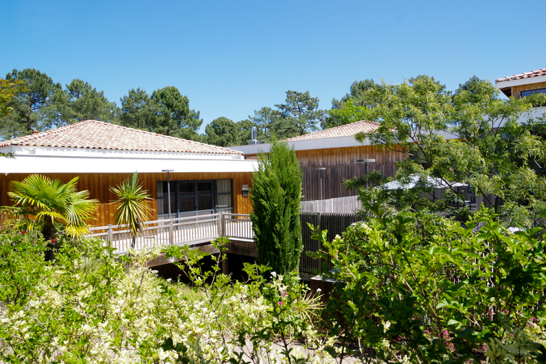 Seminaire Collection - séminaire ambiance nature au lège cap ferret