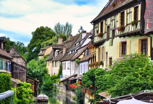 seminaire au vert en Alsace