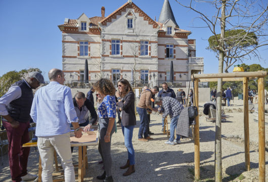 Villas luxueuses au coeur du Languedoc
