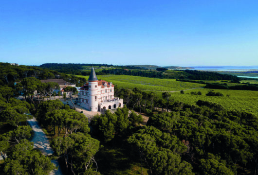 Villas luxueuses au coeur du Languedoc