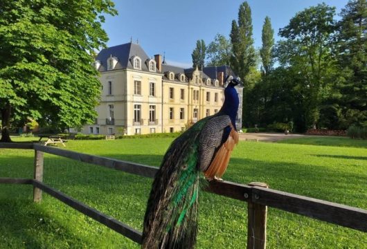 Château de Ouézy