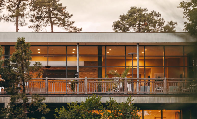 Allées du domaine éco-lodge, séminaire bassin d'Arcachon