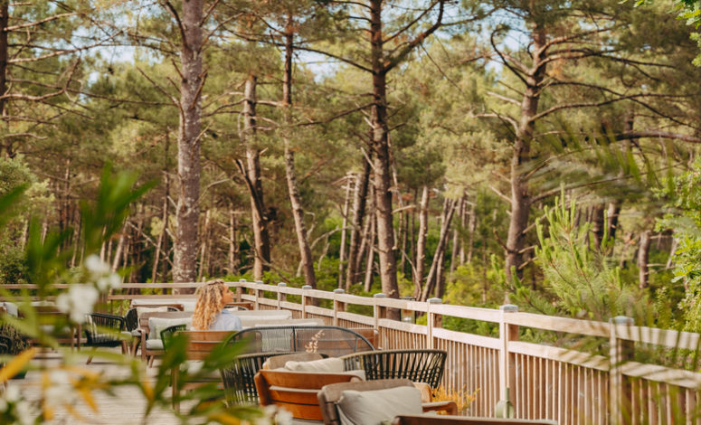 Terrasse ombragée dans les pins maritimes, séminaire Cap Ferret