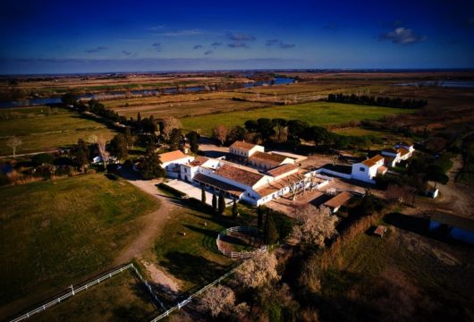 Domaine camarguais