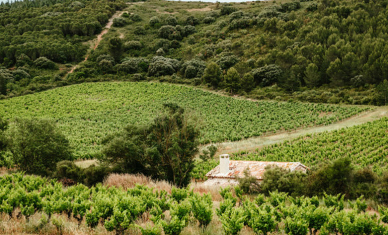 seminaire éco-responsable