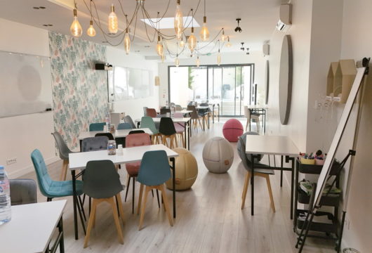 Espace Lumineux avec jardin