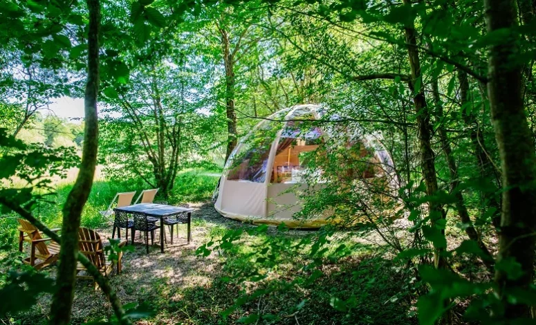 Hébergement bulle en forêt pour un séminaire nature