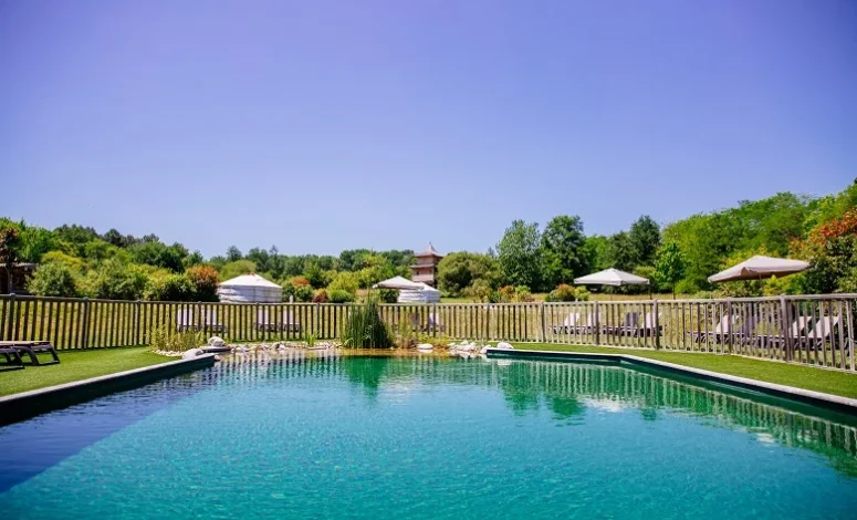 Piscine naturelle pour un séminaire au vert en Gironde