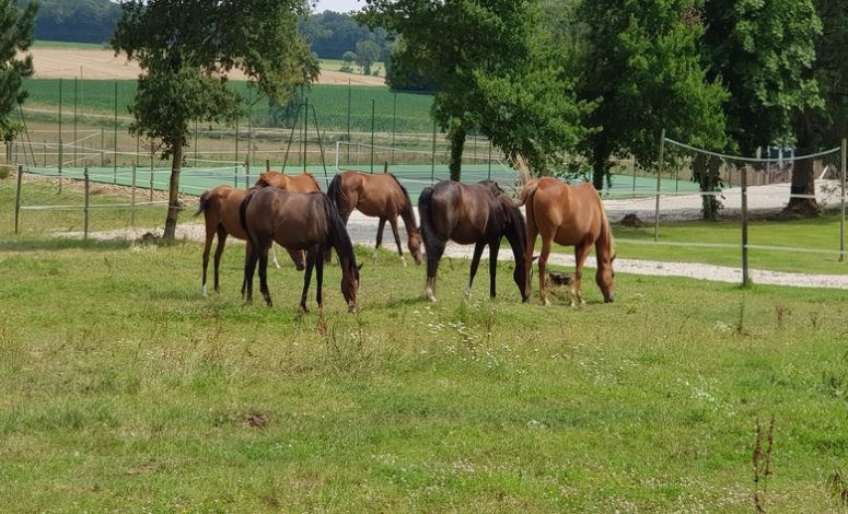gite pour séminaire