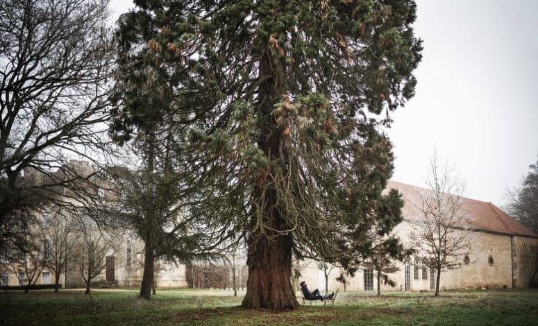 séminaire bourgogne
