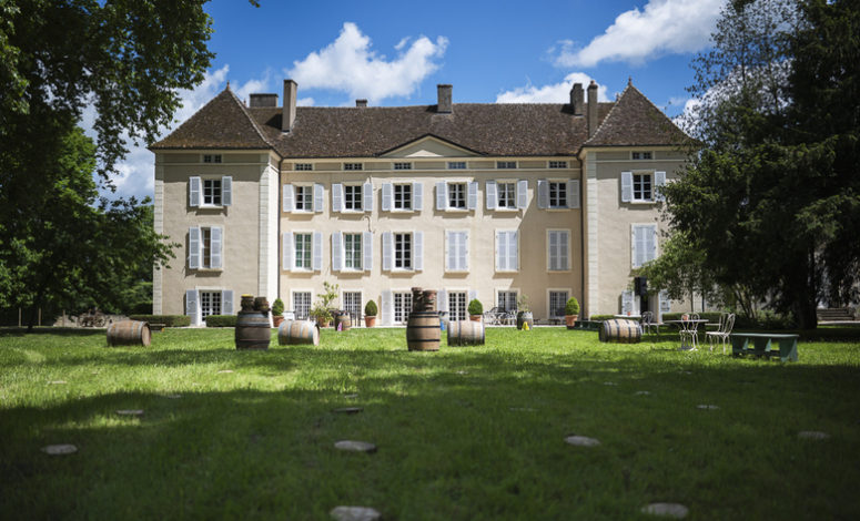 Activité de team building pour votre séminaire en Bourgogne au Domaine Armand Heitz