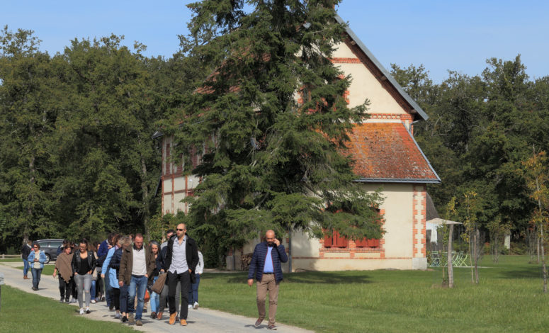 Séminaire au vert - à 1h30 de Tours déconnexion en équipe