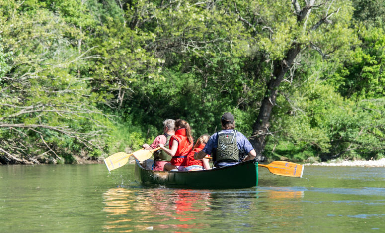 Sortie canoë en équipe lors d’un séminaire d’entreprise dans le Gard