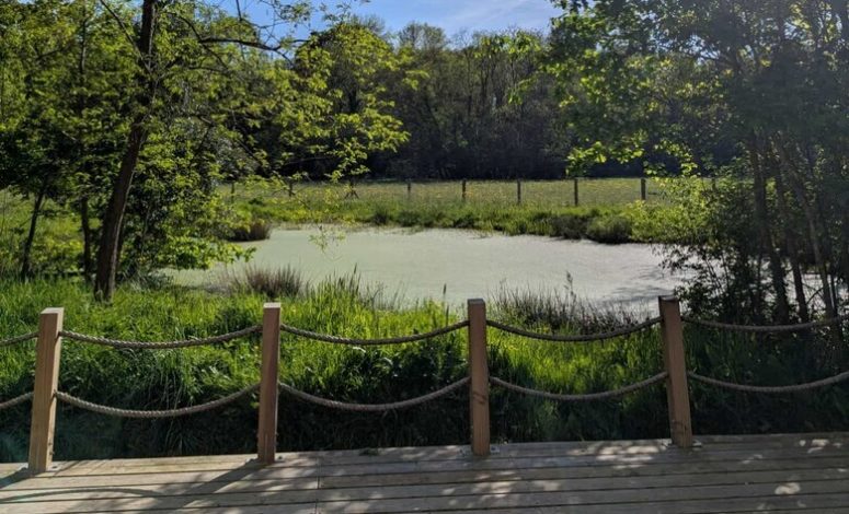 Parc de plusieurs hectares avec lac, cadre naturel exceptionnel pour un séminaire au vert Nantes