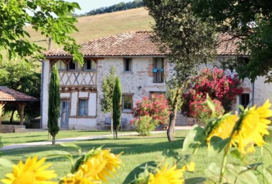 Façade extérieure du gîte avec soleil et végétation pour un Séminaire au vert proche de Toulouse
