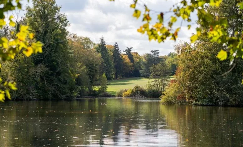 Étang du parc, un cadre naturel pour une pause détente lors d'un séminaire au vert en ile de france