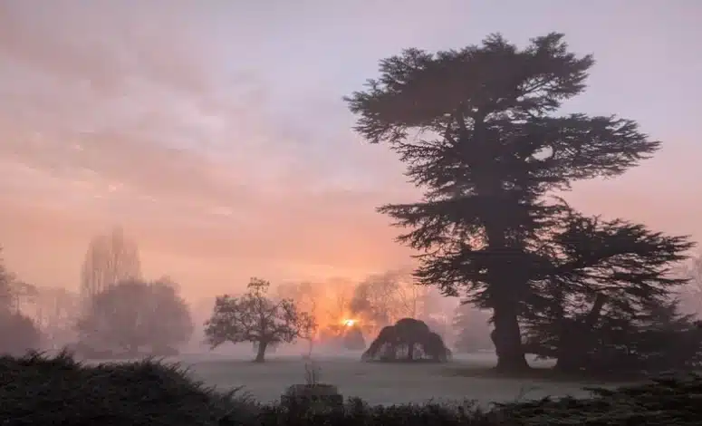 Jardin du domaine à la tombée de la nuit, Normandie